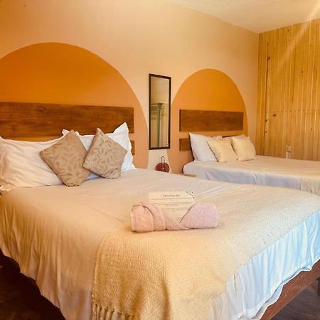 Casa Sofia Guest House San Cristóbal de Las Casas المظهر الخارجي الصورة