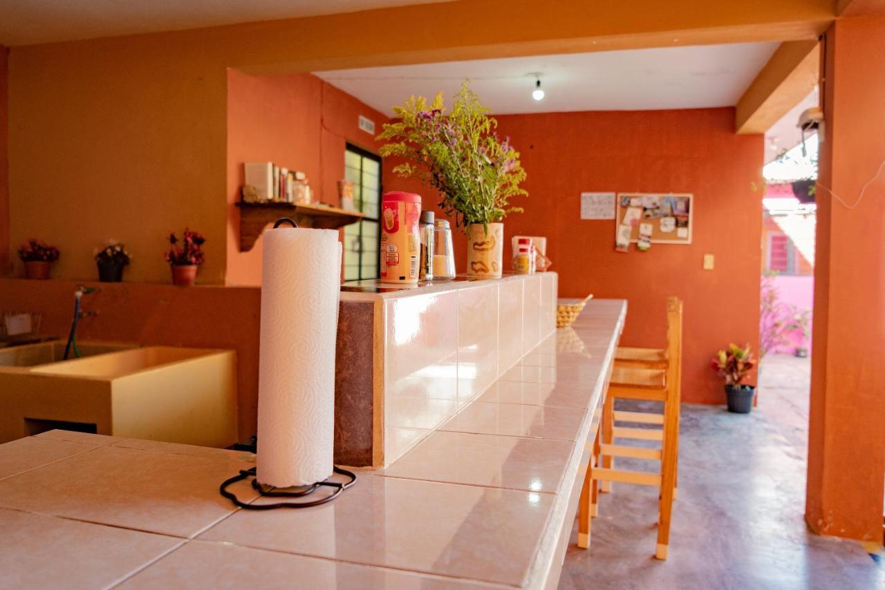 Casa Sofia Guest House San Cristóbal de Las Casas المظهر الخارجي الصورة