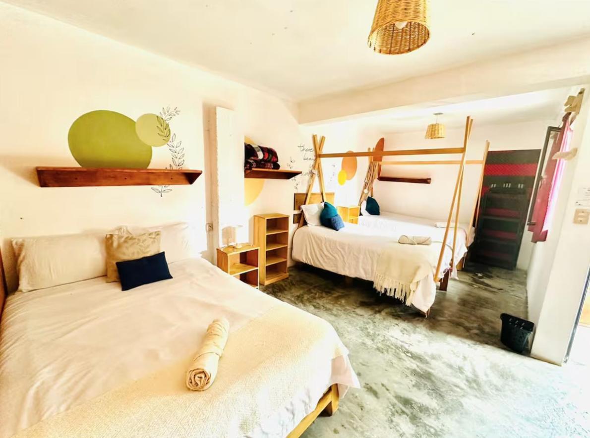 Casa Sofia Guest House San Cristóbal de Las Casas المظهر الخارجي الصورة